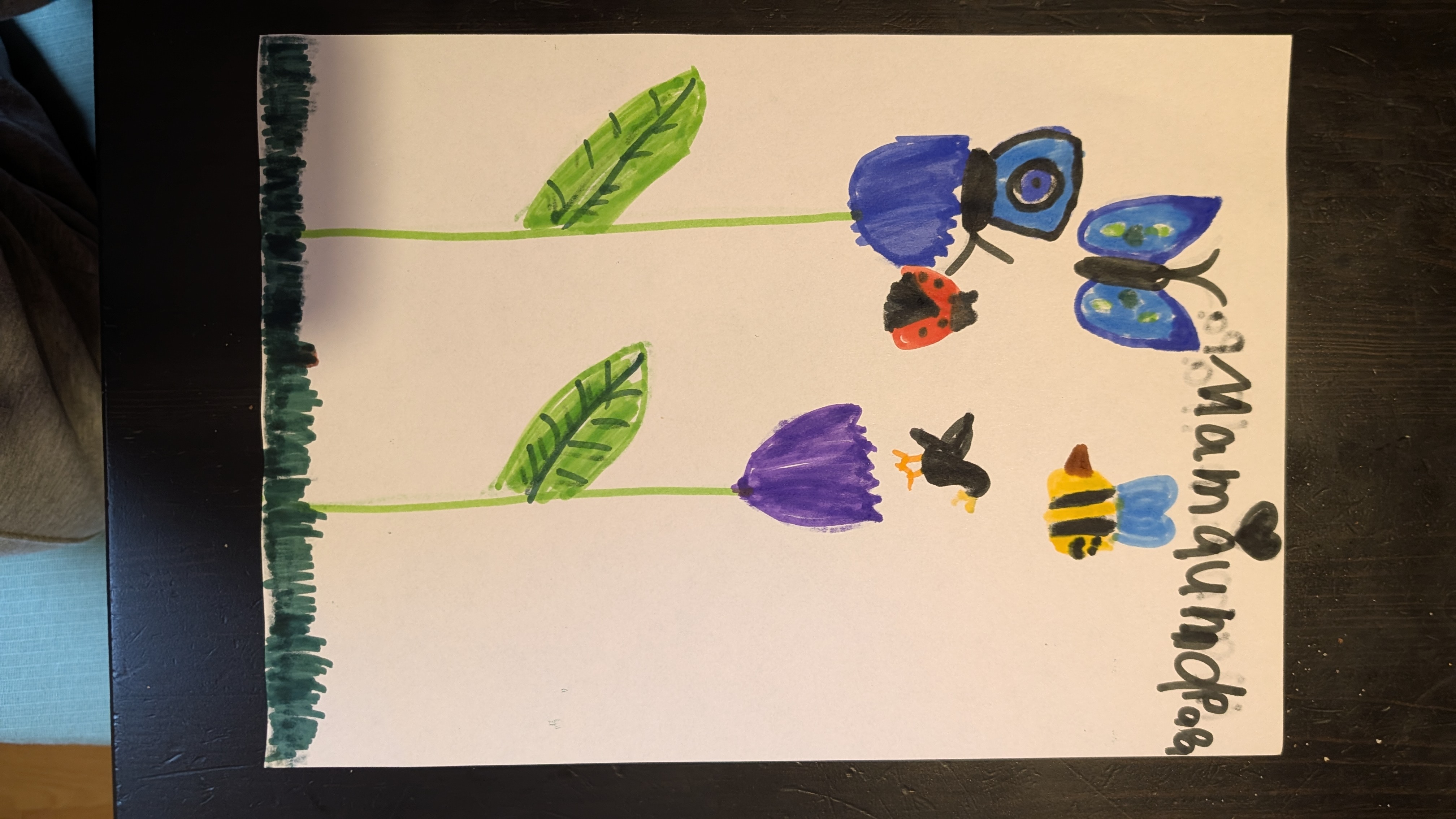 PXL 20260201 091212775