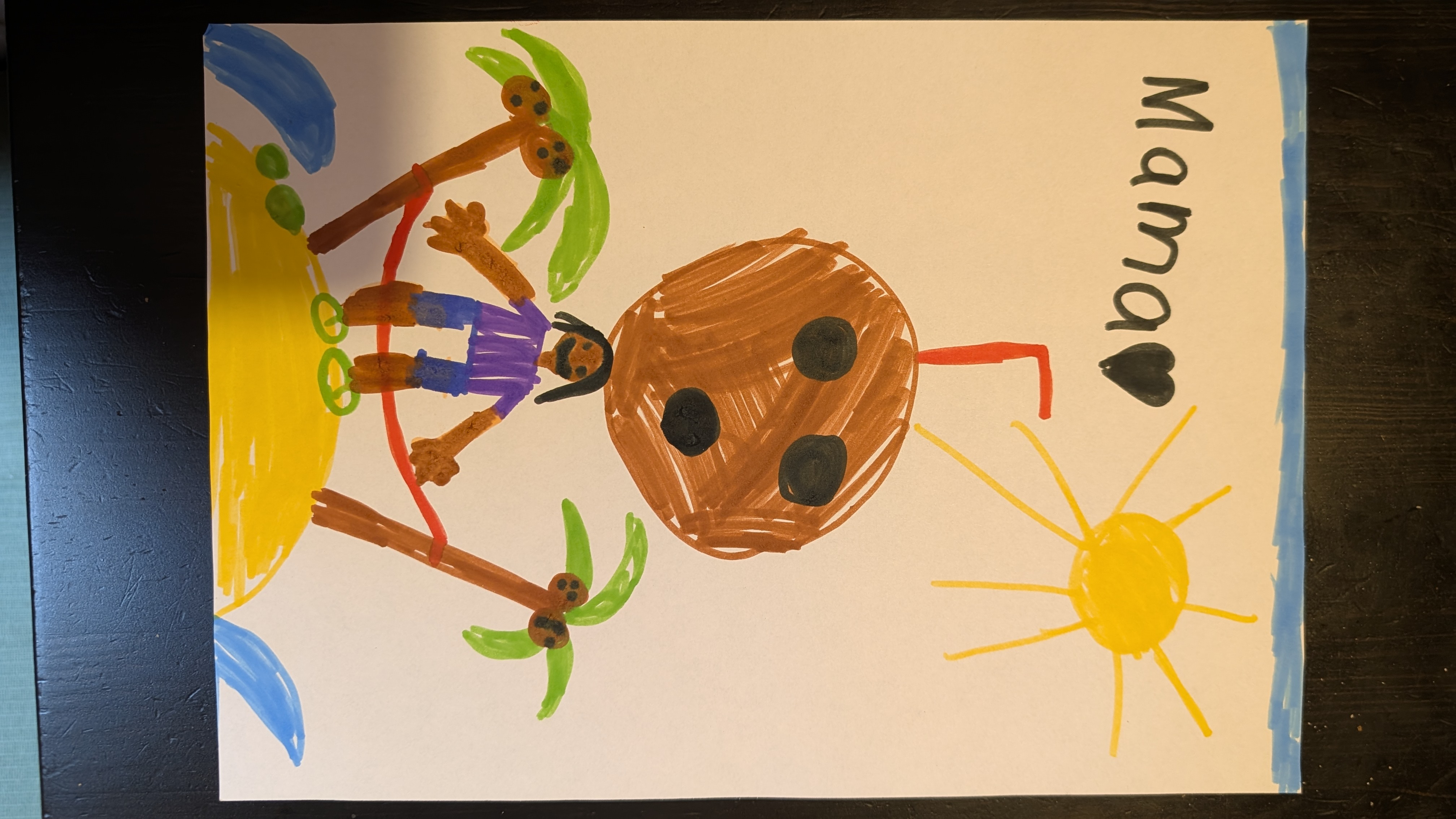 PXL 20260201 091311772